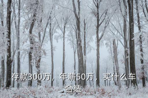 存款300萬，年薪50萬，買什么車合適