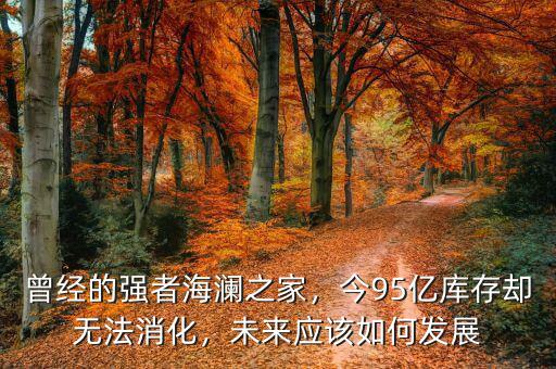 曾經的強者海瀾之家，今95億庫存卻無法消化，未來應該如何發(fā)展