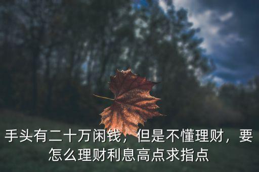 手頭有二十萬(wàn)閑錢(qián)，但是不懂理財(cái)，要怎么理財(cái)利息高點(diǎn)求指點(diǎn)