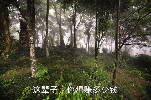 迪頓賺多少最快樂(lè),你想賺多少錢(qián)