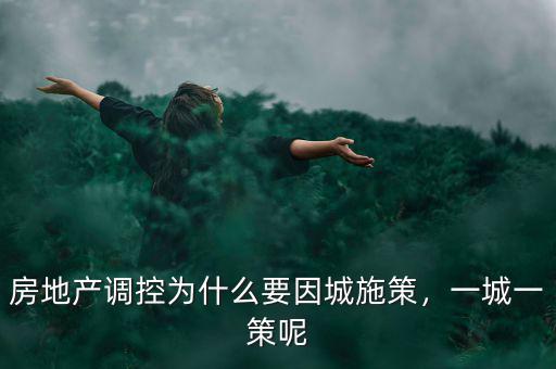 為什么會有房地產(chǎn)調控,房地產(chǎn)調控為什么要因城施策