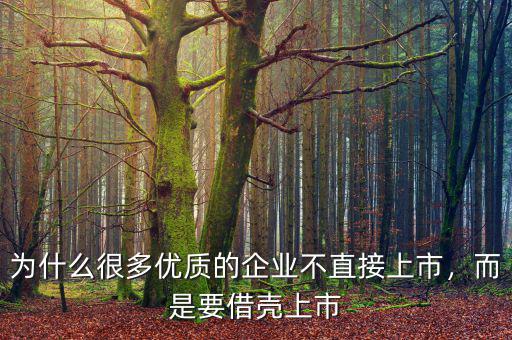 為什么很多優(yōu)質(zhì)的企業(yè)不直接上市，而是要借殼上市
