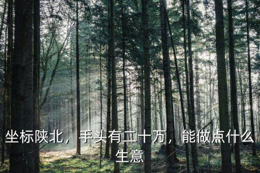 坐標(biāo)陜北，手頭有二十萬(wàn)，能做點(diǎn)什么生意