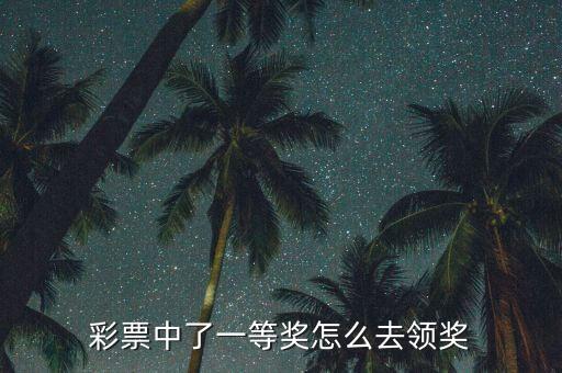 彩票中了一等獎怎么去領獎