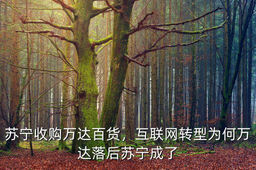 蘇寧收購(gòu)萬(wàn)達(dá)百貨，互聯(lián)網(wǎng)轉(zhuǎn)型為何萬(wàn)達(dá)落后蘇寧成了