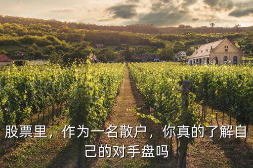 股票里，作為一名散戶，你真的了解自己的對手盤嗎