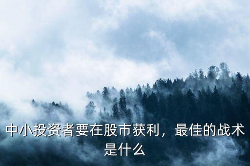 中小投資者要在股市獲利，最佳的戰(zhàn)術是什么