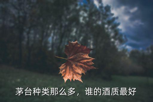 茅臺種類那么多，誰的酒質最好