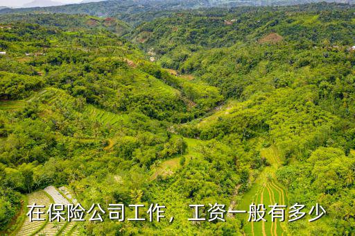 保險(xiǎn)公司工資多少,工資一般有多少