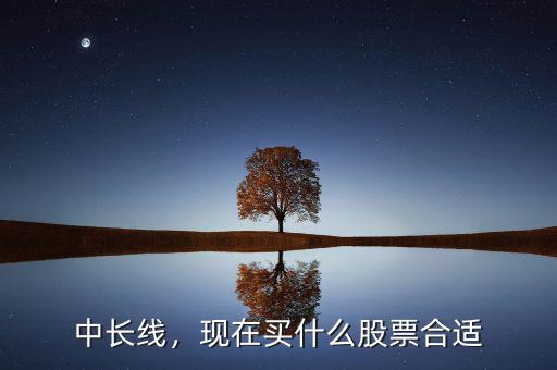 中長(zhǎng)線，現(xiàn)在買什么股票合適