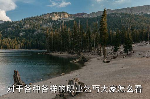 對(duì)于各種各樣的職業(yè)乞丐大家怎么看