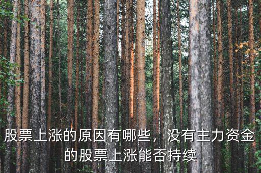 股票上漲的原因有哪些，沒有主力資金的股票上漲能否持續(xù)