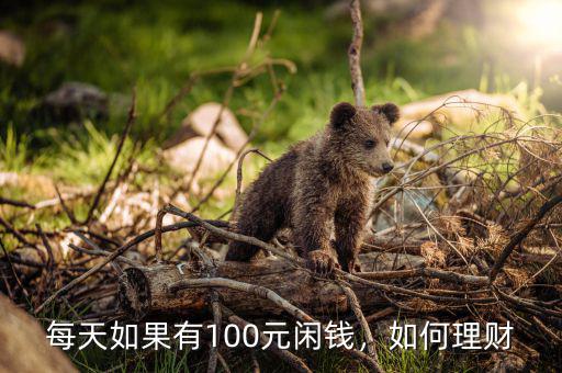 每天如果有100元閑錢，如何理財(cái)