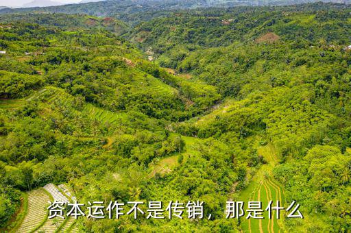 資本運作不是傳銷，那是什么