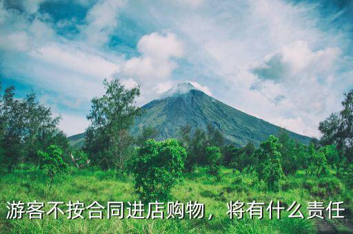 游客不按合同進(jìn)店購物，將有什么責(zé)任