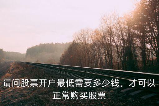 請(qǐng)問(wèn)股票開(kāi)戶(hù)最低需要多少錢(qián)，才可以正常購(gòu)買(mǎi)股票