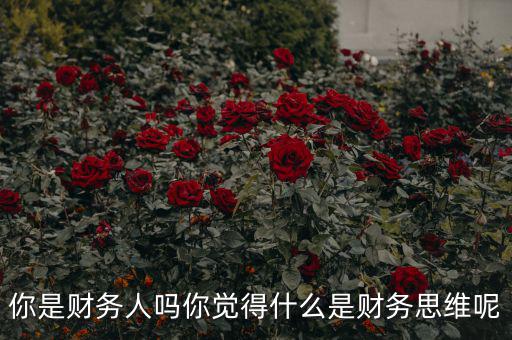 什么是會計思維,什么是財務思維
