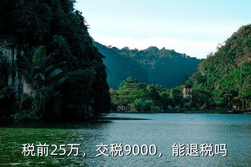 稅前25萬，交稅9000，能退稅嗎