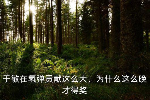 于敏在氫彈貢獻(xiàn)這么大，為什么這么晚才得獎(jiǎng)