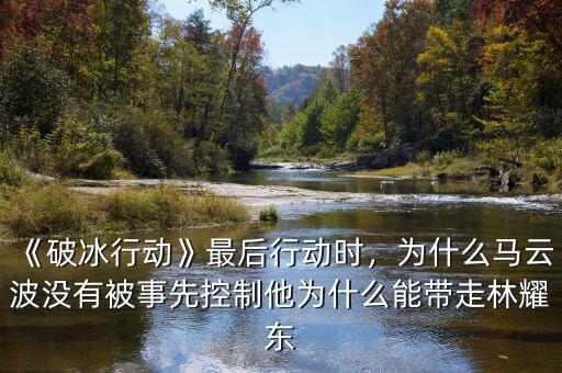 《破冰行動(dòng)》最后行動(dòng)時(shí)，為什么馬云波沒(méi)有被事先控制他為什么能帶走林耀東