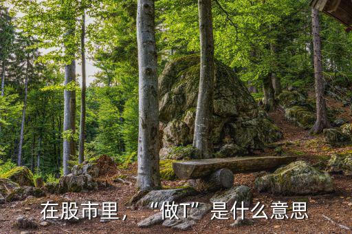 在股市里，“做T”是什么意思