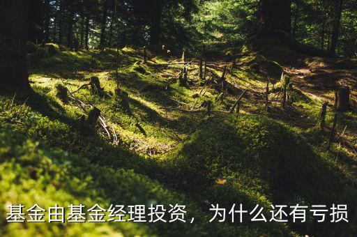 基金由基金經(jīng)理投資，為什么還有虧損
