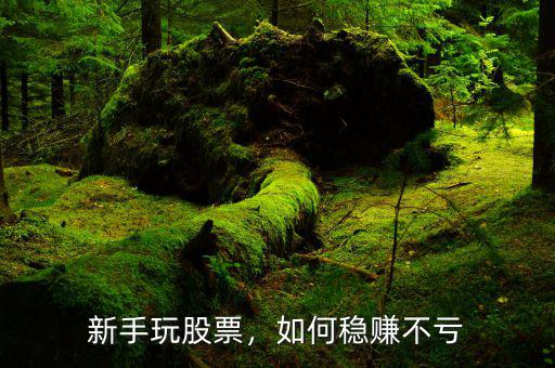 新手玩股票，如何穩(wěn)賺不虧