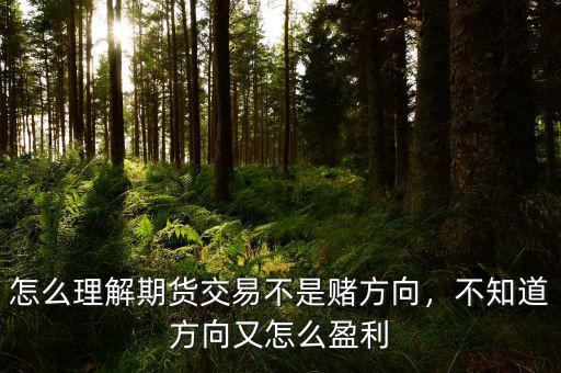 怎么理解期貨交易不是賭方向，不知道方向又怎么盈利