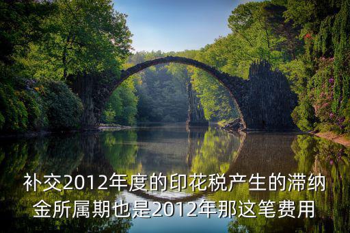 補(bǔ)交印花稅屬期是什么意思，補(bǔ)交2012年度的印花稅產(chǎn)生的滯納金所屬期也是2012年那這筆費(fèi)用