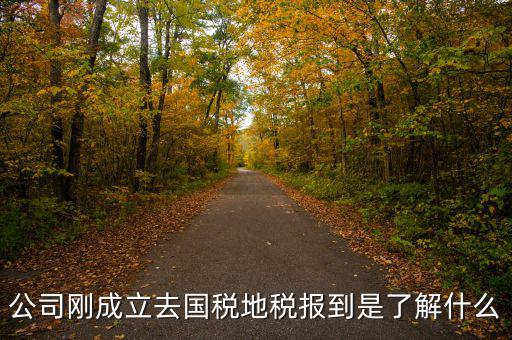 公司剛成立去國稅地稅報(bào)到是了解什么
