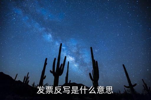 發(fā)票反寫什么意思，反寫什么意思