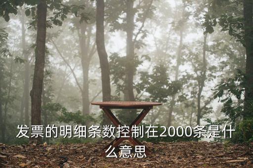 發(fā)票明細(xì)什么意思，發(fā)票的明細(xì)條數(shù)控制在2000條是什么意思