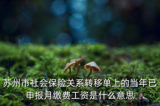 社保已申報(bào)是什么意思，新手求助請(qǐng)問網(wǎng)上申報(bào)是什么意思