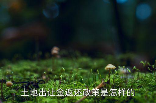 土地返還款是什么，土地返還款繳稅