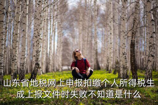 山東地稅網(wǎng)為什么沒法報(bào)稅，山東地稅網(wǎng)上申報(bào)系統(tǒng)網(wǎng)頁(yè)無法訪問是什么原因