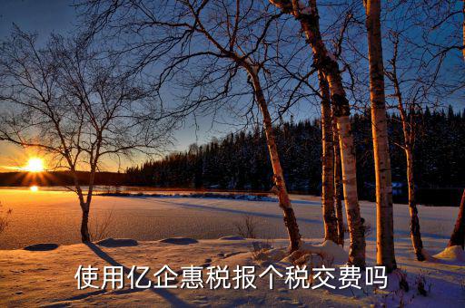 深圳億企惠稅報什么稅，稅友億企惠稅是用來申報地稅還是國稅
