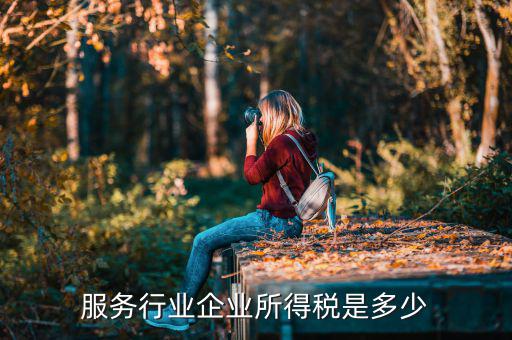 什么是接受服務(wù)企業(yè)所得稅，服務(wù)行業(yè)企業(yè)所得稅是多少