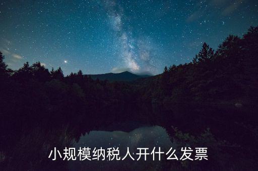 成都小規(guī)模應開什么發(fā)票，小規(guī)模納稅人開什么發(fā)票