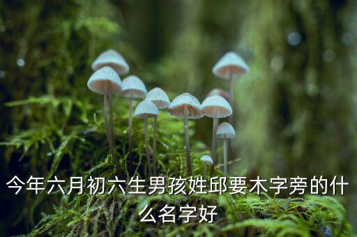 稅什么邱什么的名字，孩子姓邱該取什么名字呢男女都行