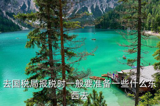 去國稅局交稅需要帶什么，去國稅局報稅時一般要準備一些什么東西去
