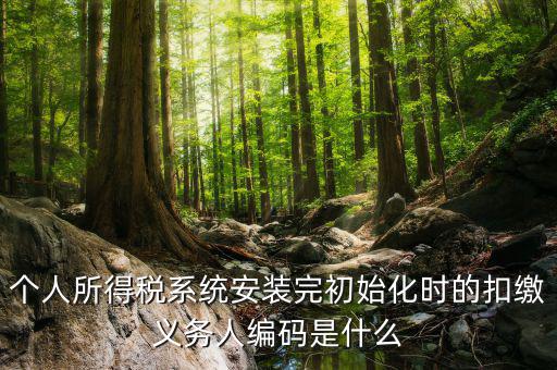 扣繳人義務(wù)編碼是什么，扣繳義務(wù)人編碼是什么啊