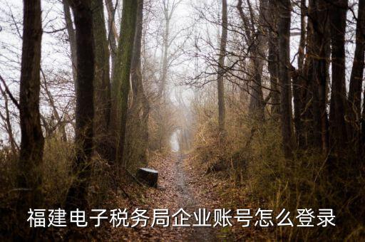 福建省地稅登入名是什么，地稅網(wǎng)上報(bào)稅平臺(tái)報(bào)稅賬號(hào)是什么