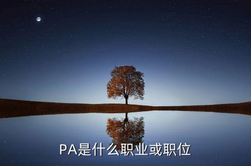 河南省國稅局陳紅偉什么職務(wù)，PA是什么職業(yè)或職位