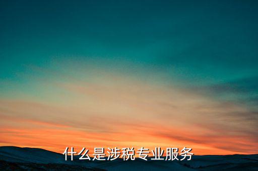 涉稅專(zhuān)業(yè)服務(wù)機(jī)構(gòu) 包括什么，什么是涉稅專(zhuān)業(yè)服務(wù)
