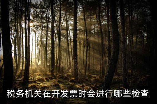 國(guó)稅專(zhuān)業(yè)發(fā)票核查是什么，國(guó)稅發(fā)短信讓帶公章去稅務(wù)局核查發(fā)票是什么意思急急急