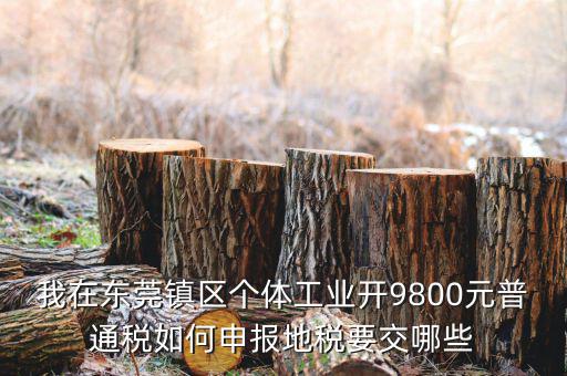 四稅一費(fèi)是什么，我在東莞鎮(zhèn)區(qū)個(gè)體工業(yè)開(kāi)9800元普通稅如何申報(bào)地稅要交哪些