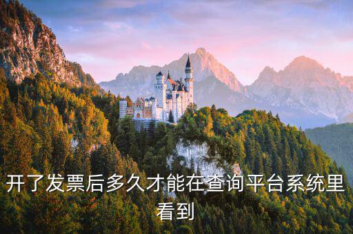 勾選平臺(tái)什么時(shí)候可以查到發(fā)票，已經(jīng)開具的專用發(fā)票多久才能在勾選平臺(tái)中查到