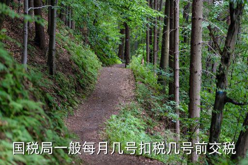 國(guó)稅什么時(shí)候扣，國(guó)稅每個(gè)月的扣稅日期最晚到幾號(hào)