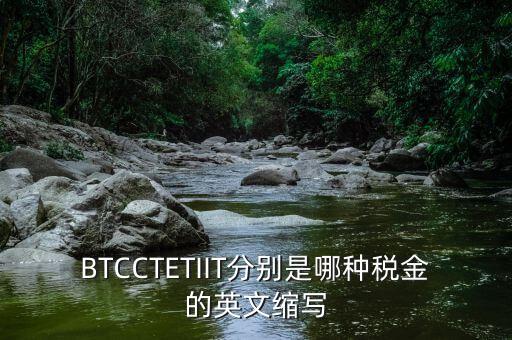 bt 是什么稅，BTCCTETIIT分別是哪種稅金的英文縮寫(xiě)