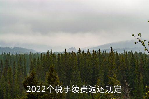 個稅返手續(xù)費什么時間，退個稅手續(xù)費2022年新規(guī)定